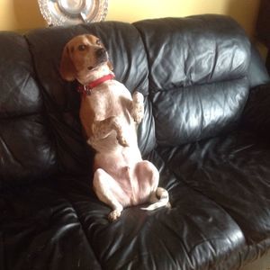 Meet your Posher, Jude